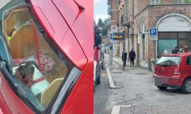 Macerata, dimentica le chiavi in auto con i cani a bordo: intervengono i vigili del fuoco