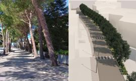 Corridonia, approvato il progetto di riqualificazione per viale Montolmo: priorità a sicurezza e abbattimento barriere