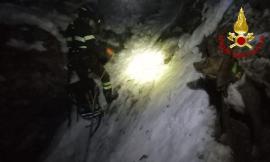 Sarnano, finiscono in un canalone mentre inseguono un cinghiale: salvati due cani da caccia
