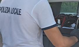 Civitanova - Un "finto" circolo privato e bilance alimentari senza revisione: 9mila euro di sanzioni per due locali