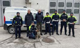 Il "fiuto" della legalità: il cane 'Ila' debutta a Civitanova, al via l'asse con Ascoli
