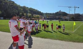 San Severino, nasce l’album delle figurine dedicato agli sportivi locali