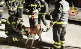 Cane da caccia smarrito nella boscaglia: interviene anche l'elicottero dei vigili del fuoco per il salvataggio