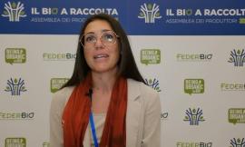 Nasce la Commissione Unica Nazionale del grano duro: "Una vittoria per gli agricoltori marchigiani"