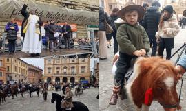 Tolentino, Enea e il pony Jack Sparrow: la coppia più amata alla benedizione di Sant’Antonio