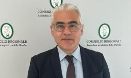 Civitanova, "oltre 79 mila euro al Mercato Ittico": arriva l'anticipo dei fondi europei