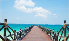 Sognava Zanzibar, ma l'offerta su Instagram era una trappola: raggirato 65enne di Tolentino