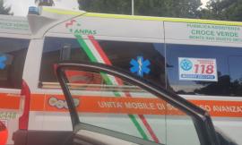 Incidente a Mogliano: investiti un uomo e il suo cane, nulla da fare per l'animale