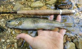 Marche, approvato il calendario della pesca 2026: ecco le date e i divieti