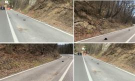 Sarnano, senso unico alternato sulla ex SS78. Merli:  "Oltre 180 giorni di disagi e nessuna risposta”