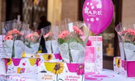 Macerata a sostegno dell’informazione sull’endometriosi: torna “I Fiori della Consapevolezza”