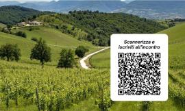 Sinclinale Camerte: workshop culinario a Castelraimondo per valorizzare il Verdicchio di Matelica