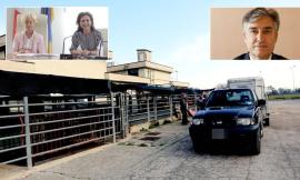 Porto Recanati, l'opposizione 'chiama' Michelini in aula: "Chiarezza sul salvataggio del mattatoio di Macerata"