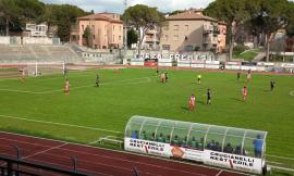 Eccellenza, il Tolentino si sveglia troppo tardi: il K Sport festeggia e resta primo