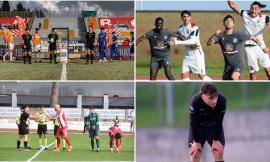 Domenica nera per le maceratesi: nessuna vittoria tra Serie D ed Eccellenza