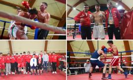 Macerata Boxing Club da record: 6 vittorie su 6 al Galà di Pugilato
