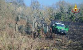 San Severino, sterpaglie a fuoco in località Pitino: brucia un ettaro di terreno