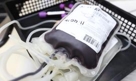 Spreco di plasma, nasce la commissione di verifica: al via l'indagine interna
