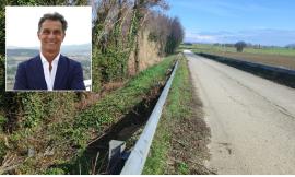 Cani trovati morti a Scossicci, il Comune di Loreto si costituirà parte civile