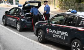Macerata, controlli al terminal bus e sulle strade: studente trovato con hashish, denunciato automobilista ubriaco