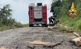 Maltempo nel Maceratese, violenta grandinata nell'entroterra: auto esce di strada a Cingoli, soccorsa una donna