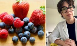 Oltre le calorie: come i nutrienti regolano i nostri geni e rigenerano le cellule