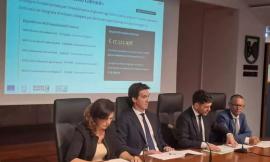 Marche, oltre 84 milioni per agricoltura e giovani imprese: via ai nuovi bandi