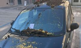Macerata, auto imbrattata con terriccio in via Severini: nel mirino una vettura parcheggiata