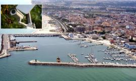 Civitanova, in arrivo 38 nuove telecamere nell'area portuale
