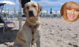 Patentino obbligatorio per i proprietari di cani, Europa Verde: “Così rischia di ostacolare le adozioni”