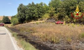 Cingoli, incendio di sterpaglie: intervento dei vigili del fuoco
