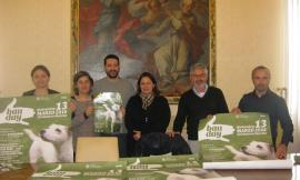 Civitanova, domenica è il "Bau Day": si inaugura la prima area di sgambamento per cani