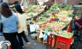 Civitanova: banda di ragazzini ruba dalla cassa di una fruttivendola