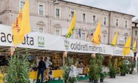 San Severino: domenica si celebra la Giornata del Ringraziamento