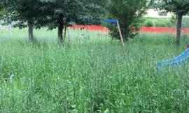 Un parco come una giungla: proteste a Villa Potenza