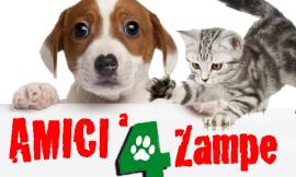 Civitanova: festa del 2 giugno con gli amici a 4 zampe