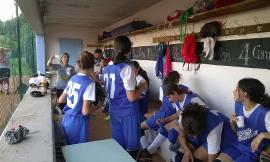 Macerata, il Social Softball per testare le formazioni pre-campionati