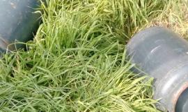 Senza decenza: anche bombole del gas abbandonate vicino al lungomare sud di Civitanova