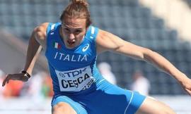 Avis Macerata, due squadre alle finali nazionali di atletica leggera