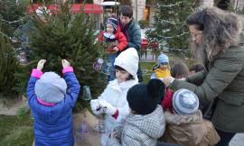 Festa per bambini a San Severino: addobbiamo il bosco urbano
