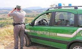 Eternit a Cingoli: lo scopre la Forestale in aperta campagna