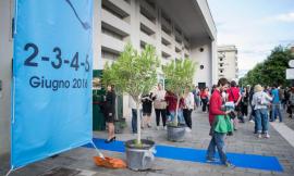 Festival del Cinema: "All the pain in the world" conquista Civitanova