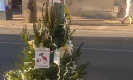 Porto Potenza, Natale col cuore verso i terremotati