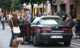 Azzannata a un braccio da un pitbull: necessari 40 punti di sutura