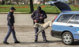 La Polizia di Stato tira le somme: ecco i dati del 2015/2016 in provincia di Macerata