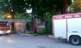 Grosso ramo si stacca da una pianta e finisce sul marciapiede: intervengono i vigili del fuoco
