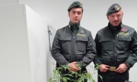 Giovane trovato in possesso di droga: denunciato