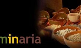 Domani Leguminaria 2015 chiude in bellezza