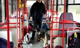 Arrivano i carabinieri e gettano la droga fra i sedili del pullman