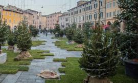 Il bosco natalizio di San Severino pronto a stupire